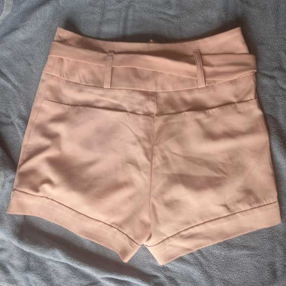 🥳 HOST PICK! 🥳 Ally peach high waisted, belted shorts, front/back pockets (8) - Picture 4 of 5